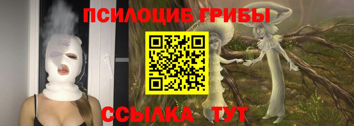 Галлюциногенные грибы Psilocybe  Вход с VPN  Донской 
